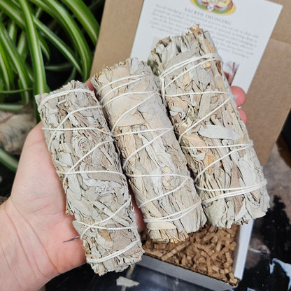 White Sage Smudge