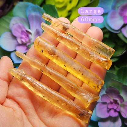 Amber Insect Wand