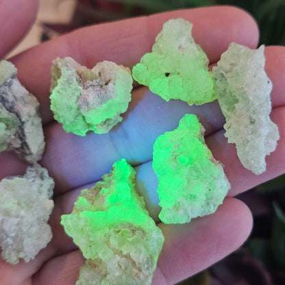 Hyalite Opal Raw