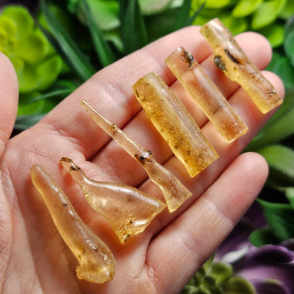 Amber Insect Wand