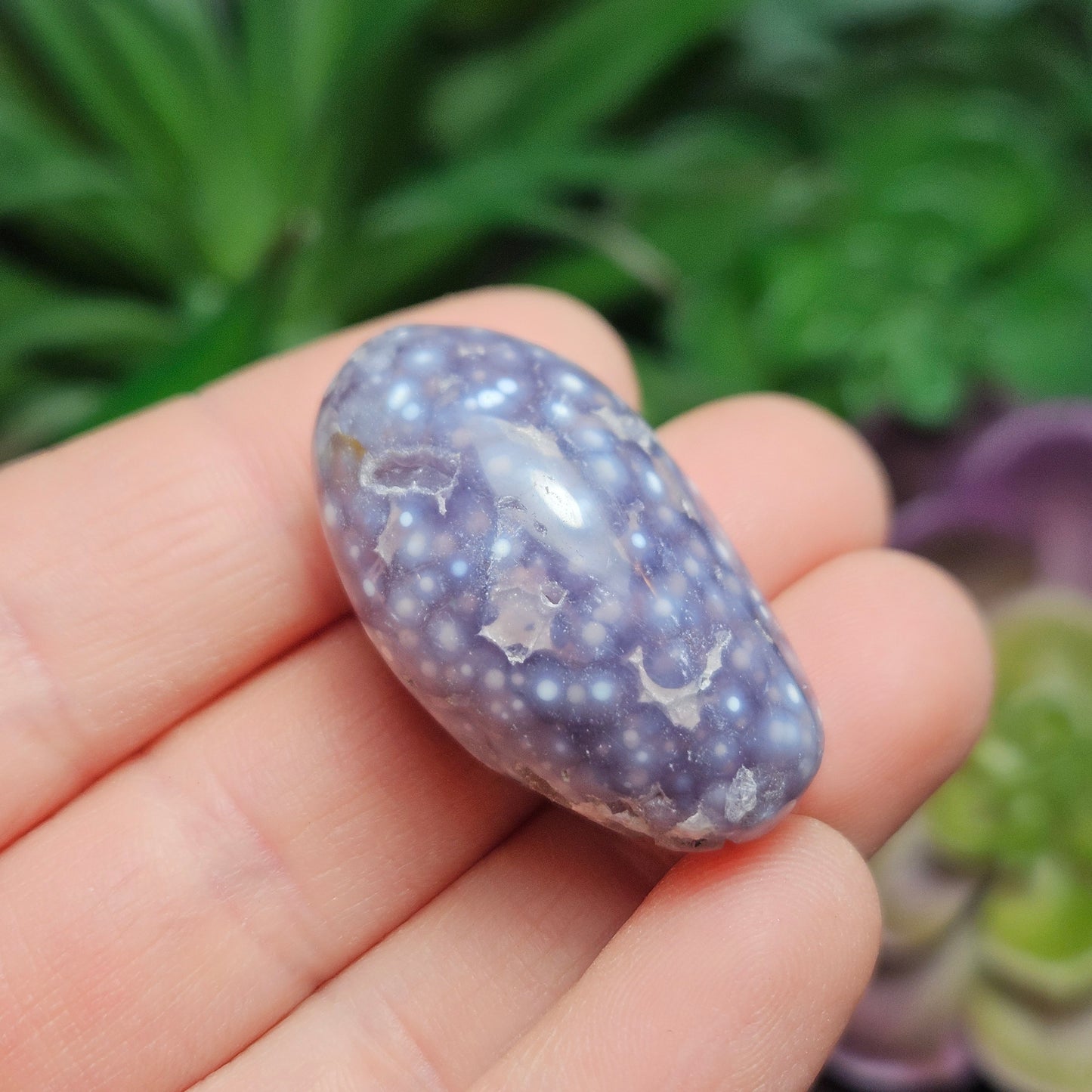 Grape Agate Tumbled