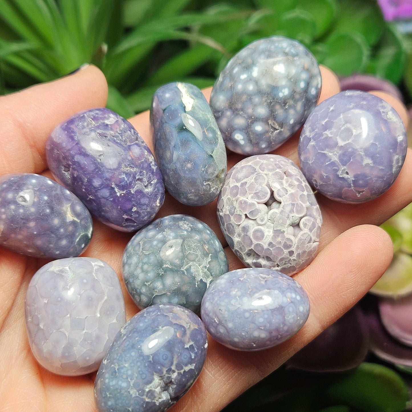 Grape Agate Tumbled