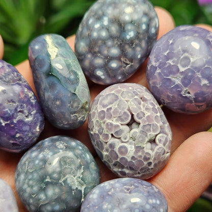 Grape Agate Tumbled