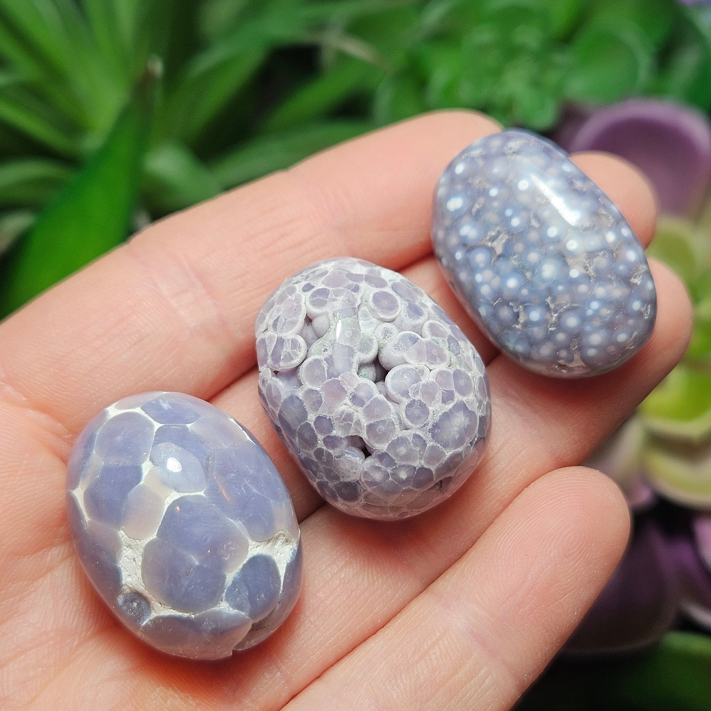 Grape Agate Tumbled