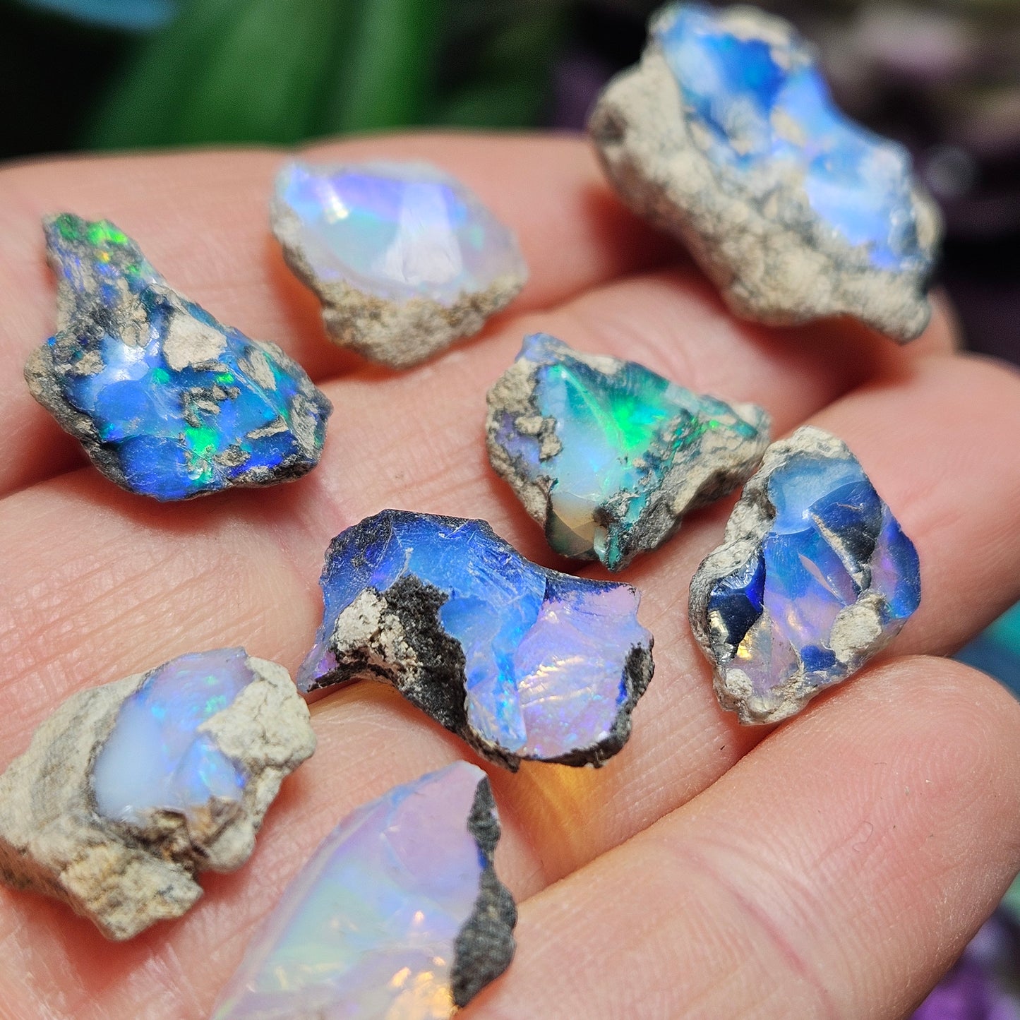 Blue Opal Raw