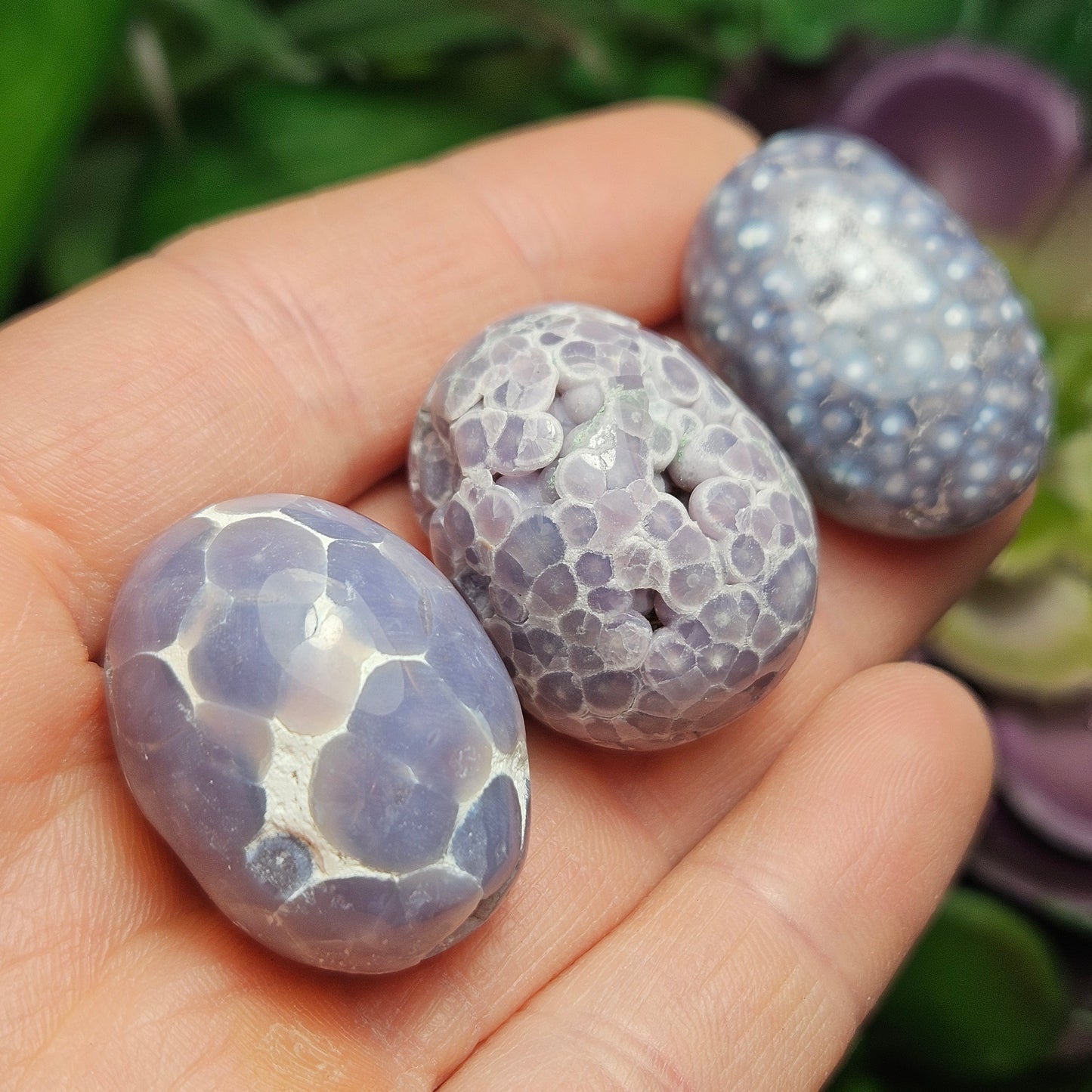 Grape Agate Tumbled