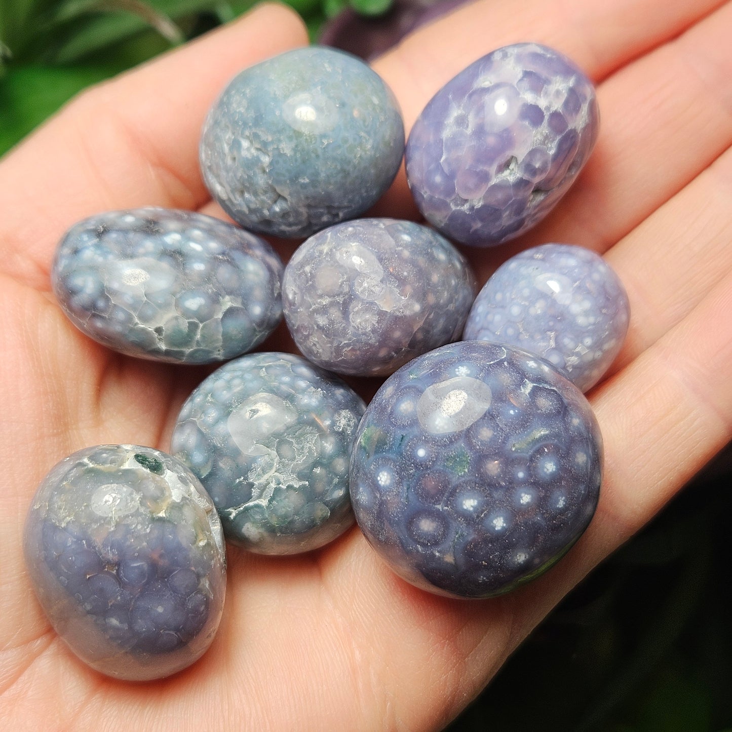 Grape Agate Tumbled