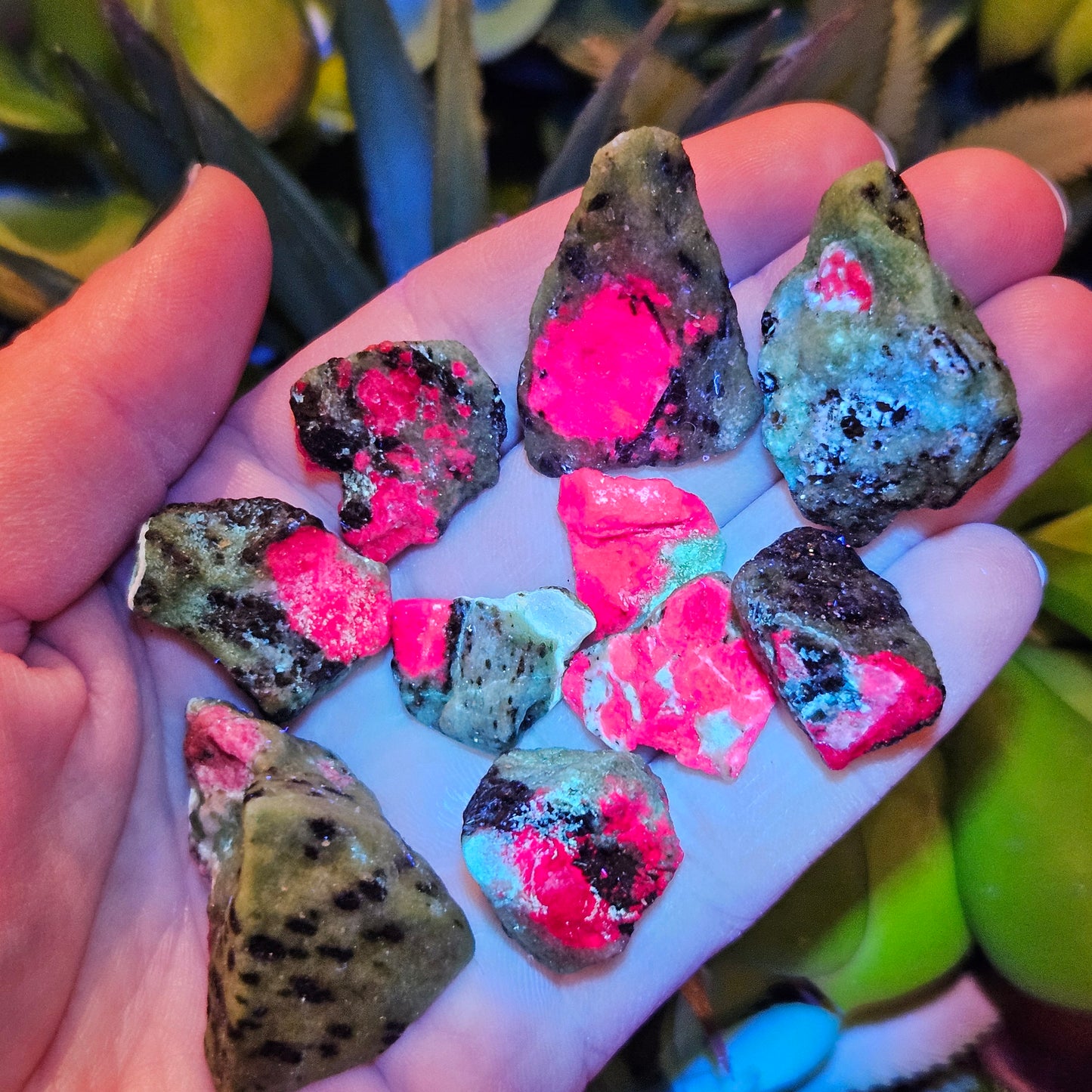 Ruby Fuchsite Raw